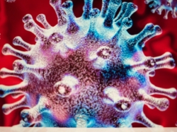 Coronavirus: So kann sich jeder schützen