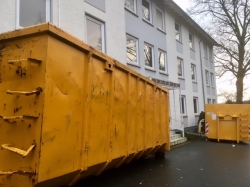Wildunfall in Halberstadt: Autofahrerin (57) fährt mit Reh im Kühlergrill  nach Hause
