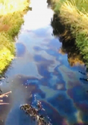 Krasser Umweltskandal in Kreiensen: Ölfilm auf Gande