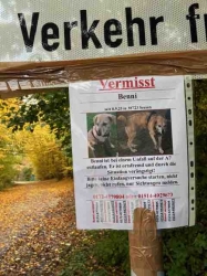 Vermisst! Verloren!Vergessen! - Hier drei aktuelle Fälle - Helfen ist angesagt!