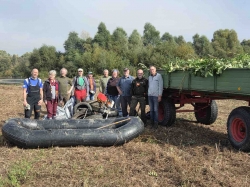 Geschiebesperre Hollenstedt: Naturscouts im Arbeitseinsatz